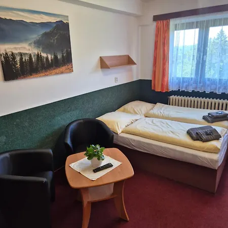 Juniorhotel Roxana * Horní Rokytnice