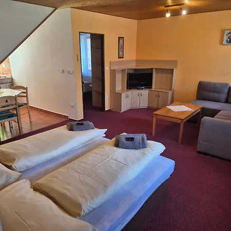 Juniorhotel Roxana * Horni Rokytnice