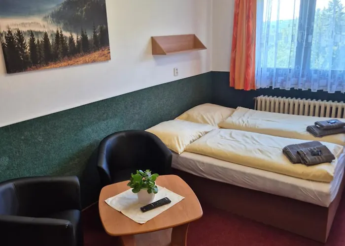 Juniorhotel Roxana * Horní Rokytnice