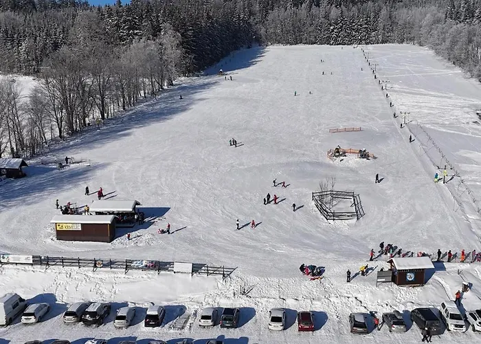 Juniorhotel Roxana Hotel Horni Rokytnice