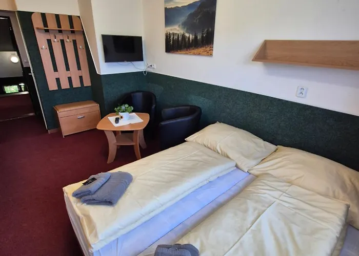 Juniorhotel Roxana Hotel Horni Rokytnice